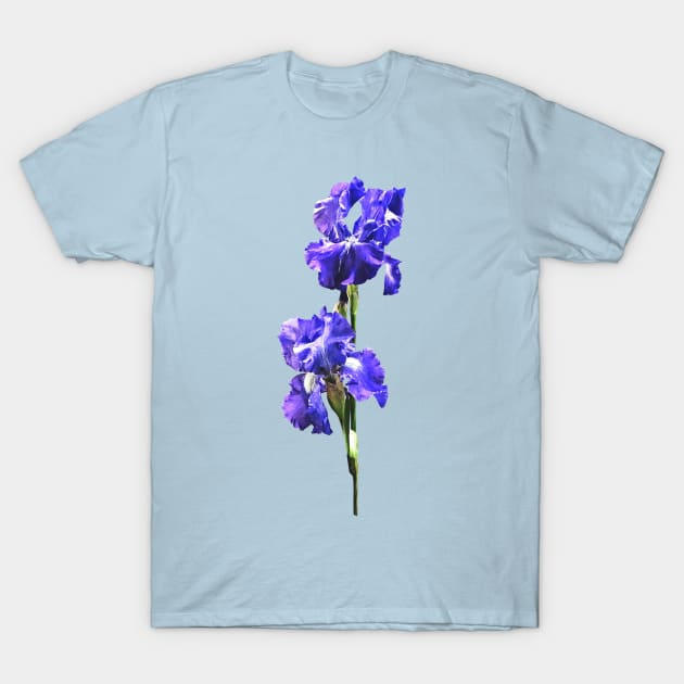 Iris - Purple Iris Pair T-Shirt by SusanSavad